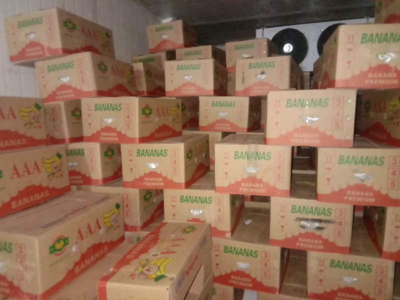 好货，好货，好货精品香蕉48一件