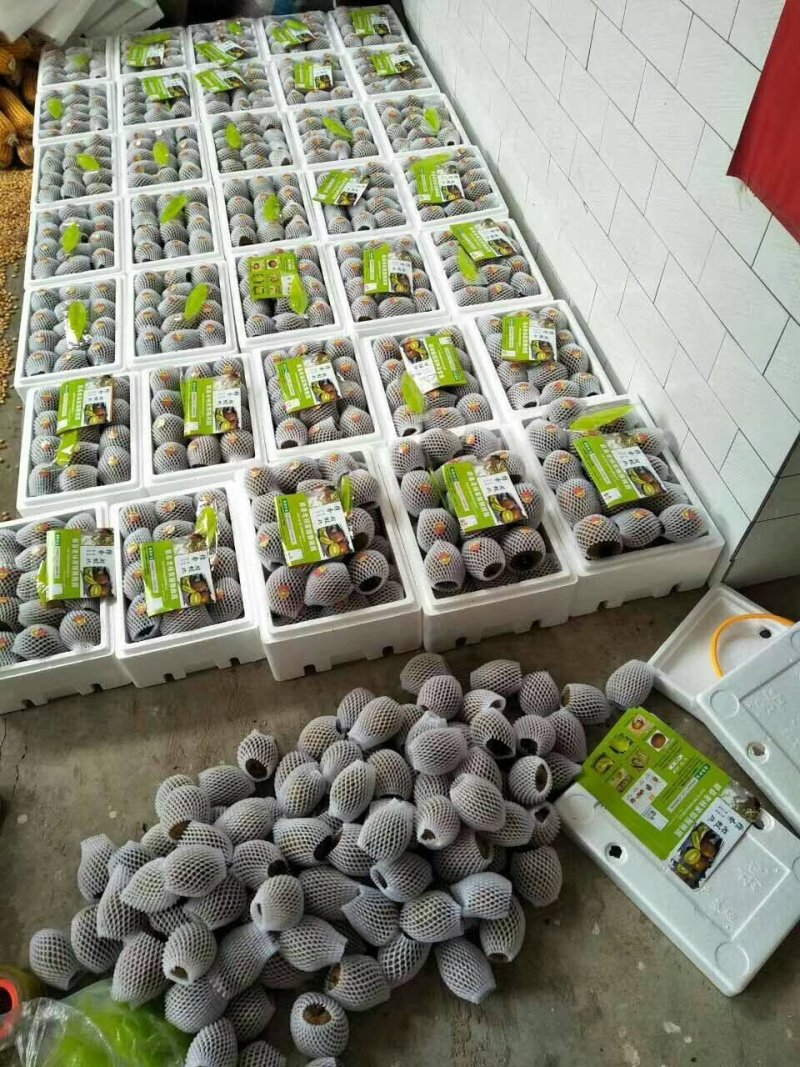徐香猕猴桃，酸甜刚刚好。