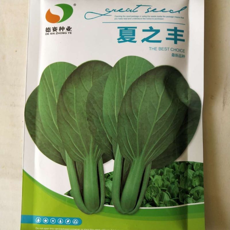 矮脚苏州青种子黑油亮菜种子耐寒品种种子种子