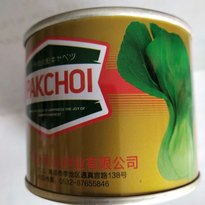 矮脚苏州青种子黑油亮菜种子耐寒品种种子种子