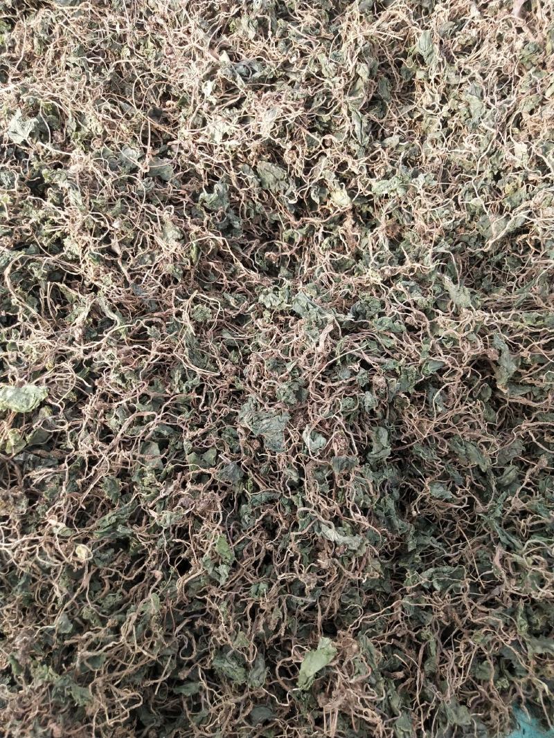 野生小叶青天葵半边脸水洗自然晒干500克包邮吧