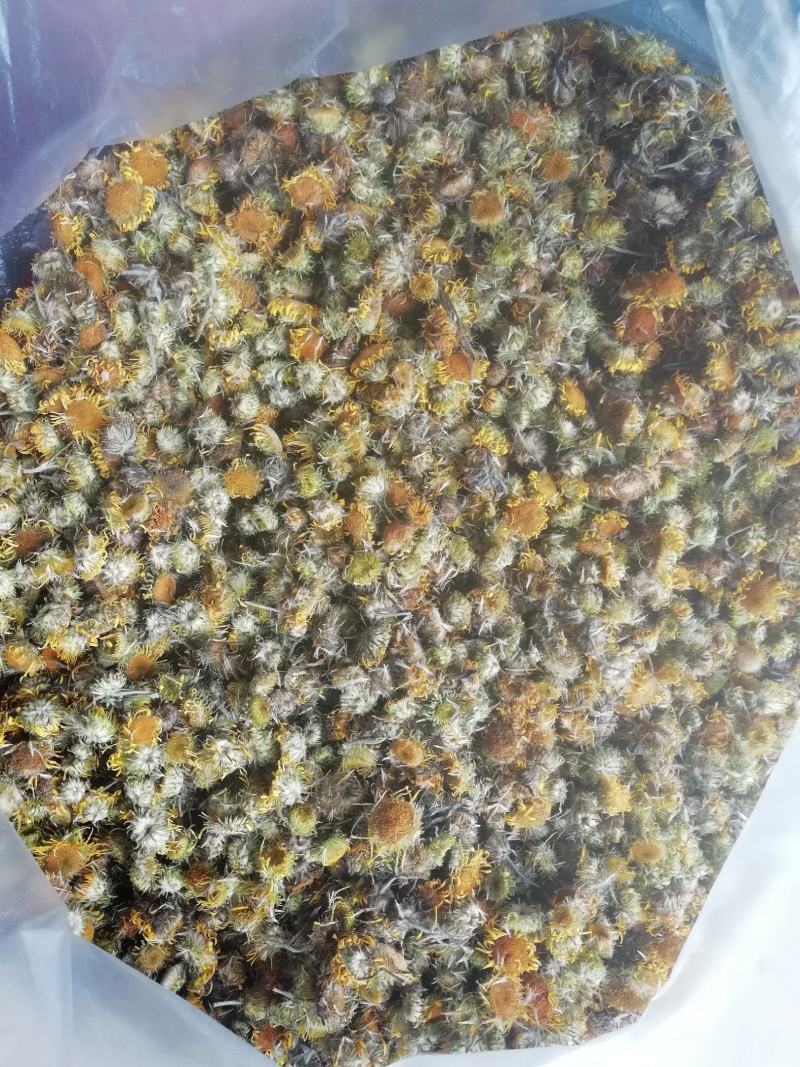 旋覆花六月菊中药材花类，产地直销