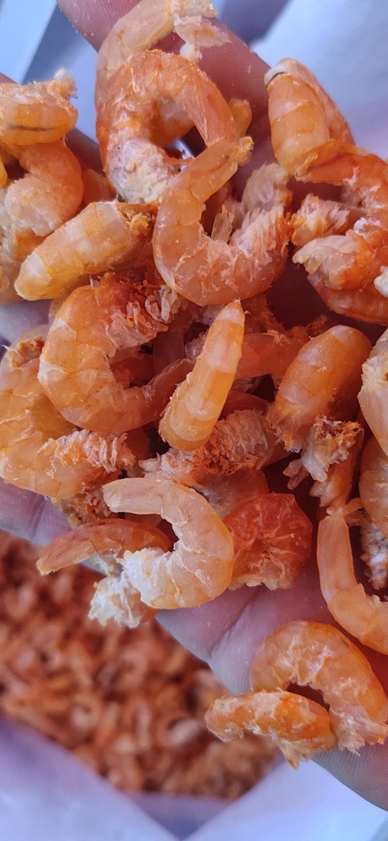 南美白对虾海虾虾仁原干淡干批发价格低全国发货
