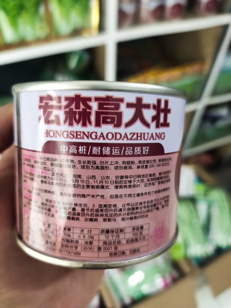 宏森高大壮洋葱种子欧兰德洋葱种子半高壮高产洋葱种子
