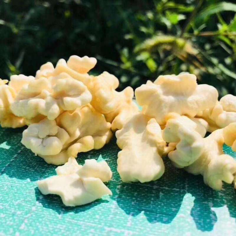 核桃薄皮核桃新鲜核桃贵州本地核桃坚果