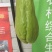 新鲜佛手瓜原产地发货