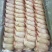 新鲜冷冻鸡全翅12斤整箱鸡翅生鸡翅鸡排翅三