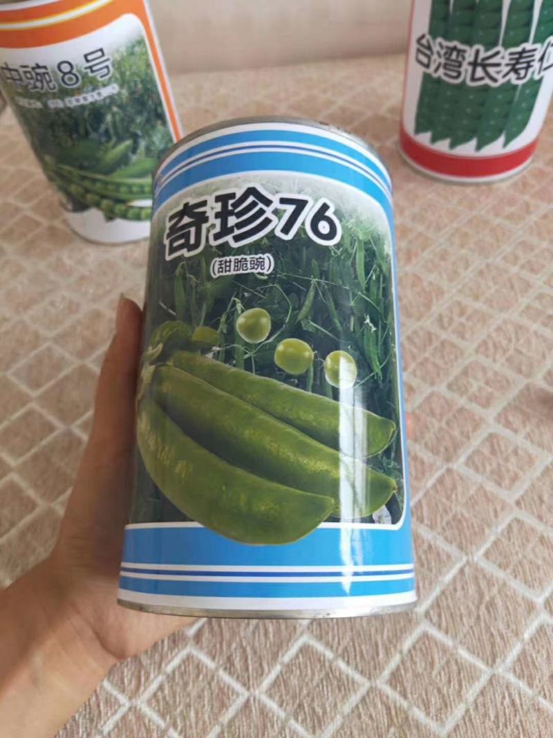 高端长寿仁豌豆种子专门吃豌豆荚口感好