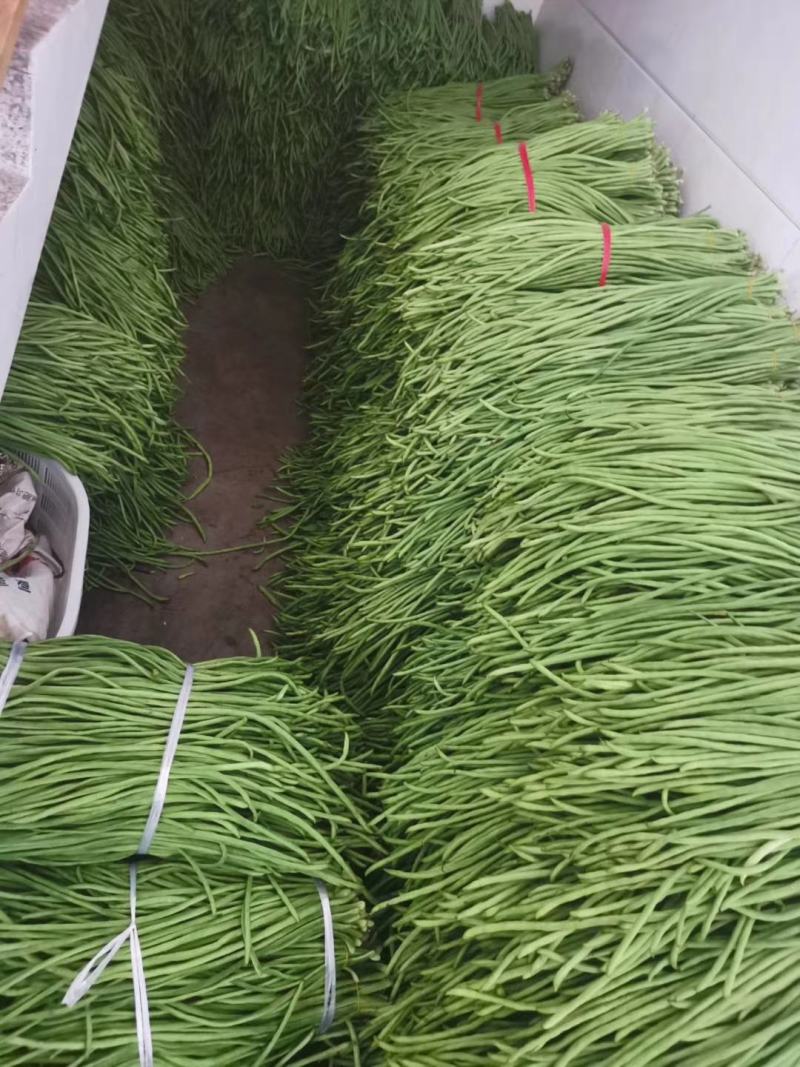 豇豆草绿，高山蔬菜，物美价廉欢迎商超对接
