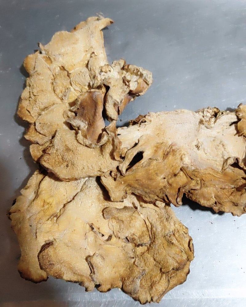 榆耳，烘干片，个大肉厚，非诚勿扰！