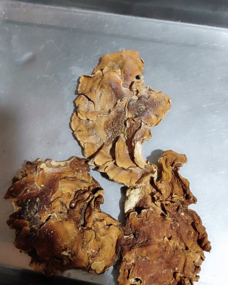榆耳，烘干片，个大肉厚，非诚勿扰！