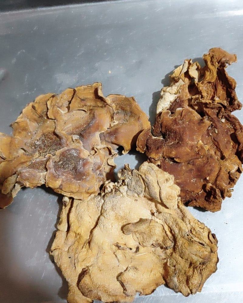 榆耳，烘干片，个大肉厚，非诚勿扰！