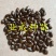 红释迦种子紫释迦番荔枝种子密红释迦林檎红释迦苗