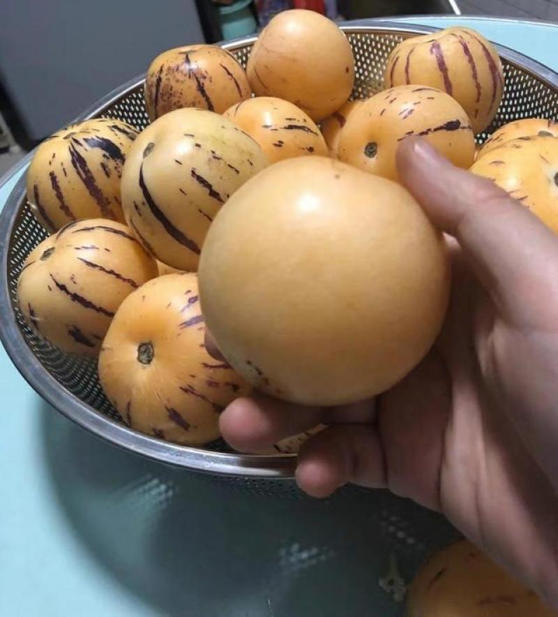 反季节人参果一件代发云南石林人参果基地直发黄肉大果现摘