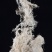 云雾草老君草松罗天蓬草批发零售产地直销