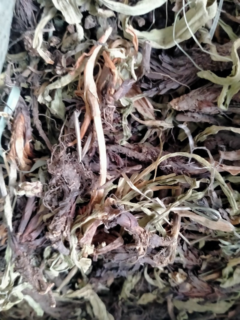 香松、甘松规格齐全产地直销一手货源价格优！