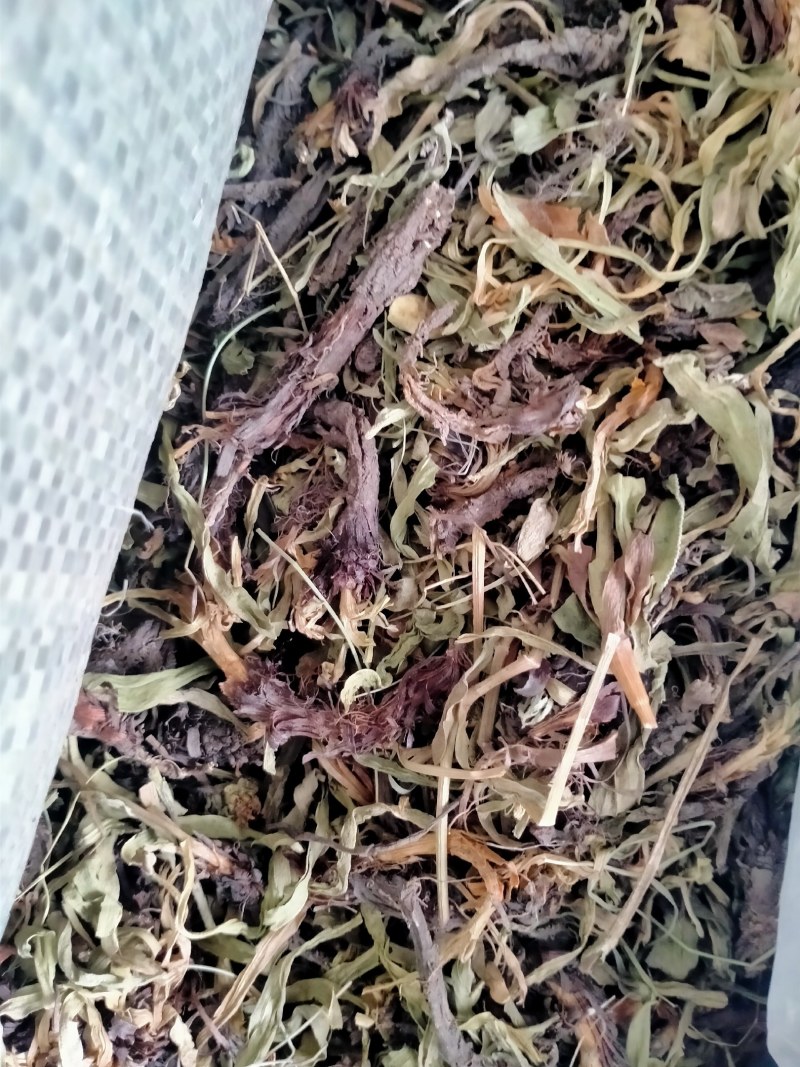 香松、甘松规格齐全产地直销一手货源价格优！