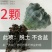 开花品种绯花玉仙人球盆栽室内花卉防辐射仙人掌桌面多肉植物