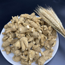 正宗西洋参花旗参西洋参进口特级7-10克圆粒整枝参味浓