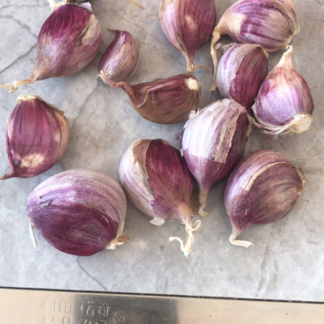 云南红香蒜，多瓣蒜，独头蒜
