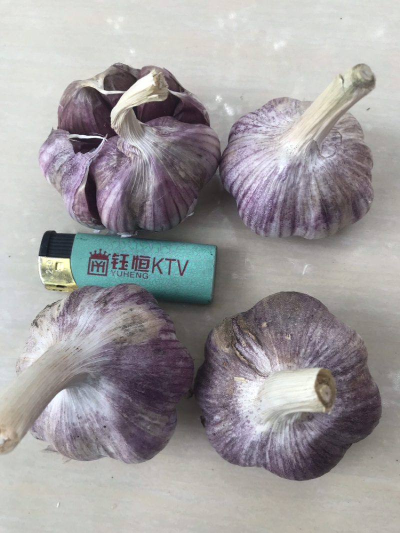 云南红香蒜，多瓣蒜，独头蒜