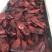 新鲜冷冻半成品酱鸭片20斤15片左右卤菜店酒店冷菜特色厂