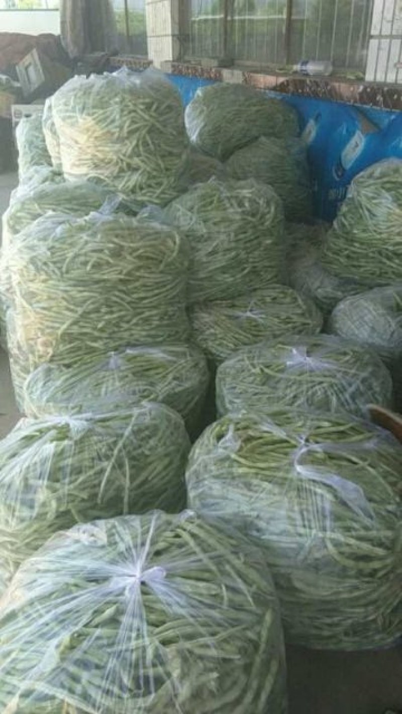 白无丝云豆