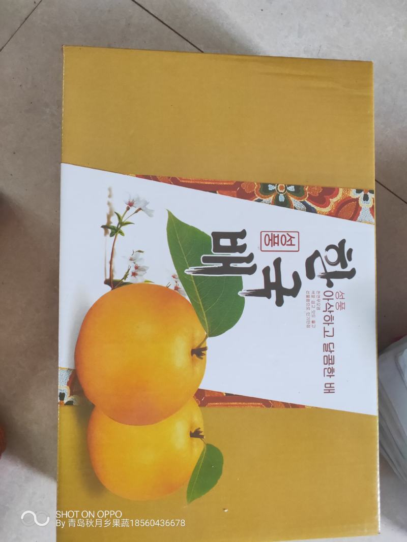 秋月梨，丰水梨。产地大量上市欢迎采购支持视频看货！！