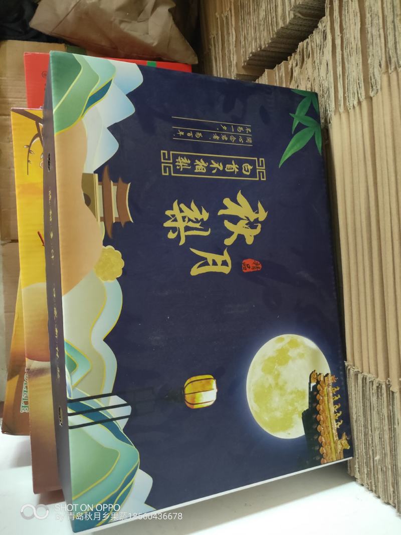 秋月梨，丰水梨。产地大量上市欢迎采购支持视频看货！！