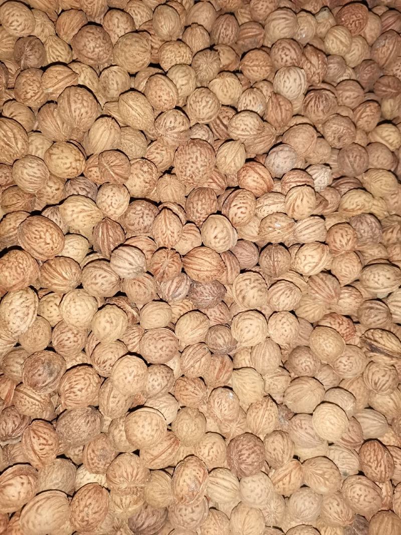 山桃胡，中药类，文玩工艺品类。