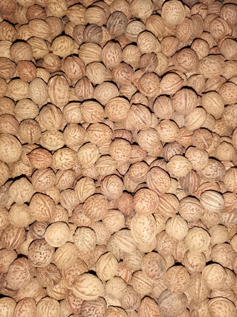 山桃胡，中药类，文玩工艺品类。