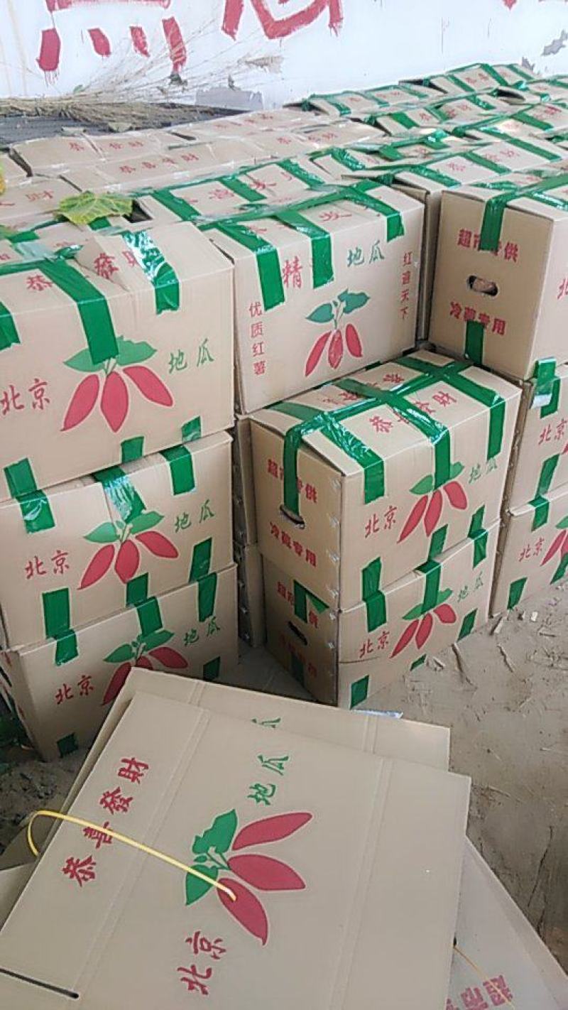 【好货源】开封沙土地西瓜红红薯基地直发量大从优欢迎联系