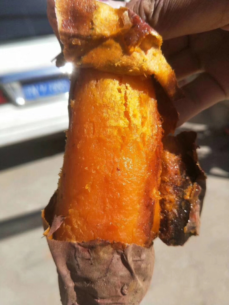 蜜薯专供，商超专供，支持各种规格，