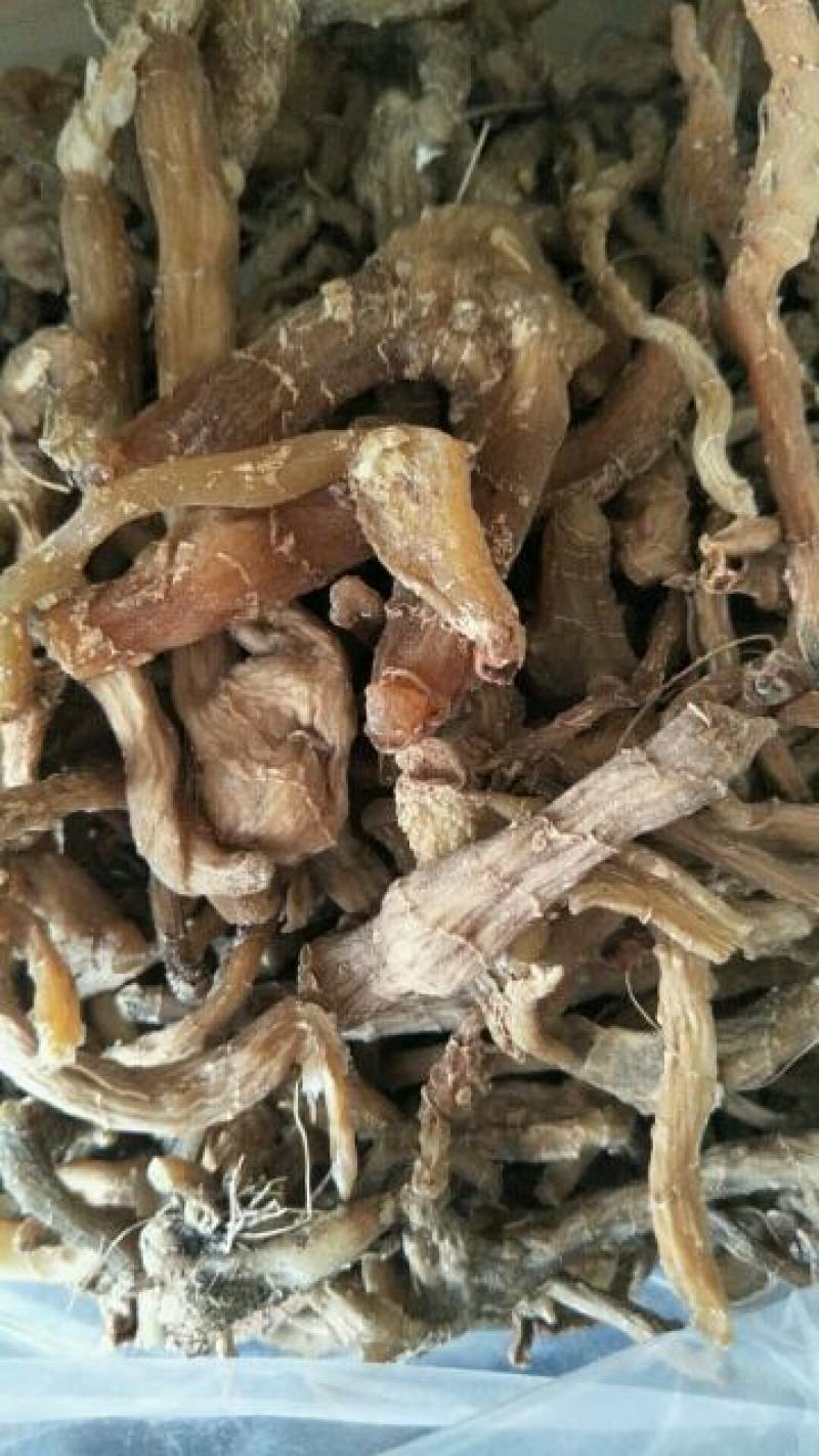 秦岭山区鸡头黄精、甜黄精、干黄精丶药食两用干黄精