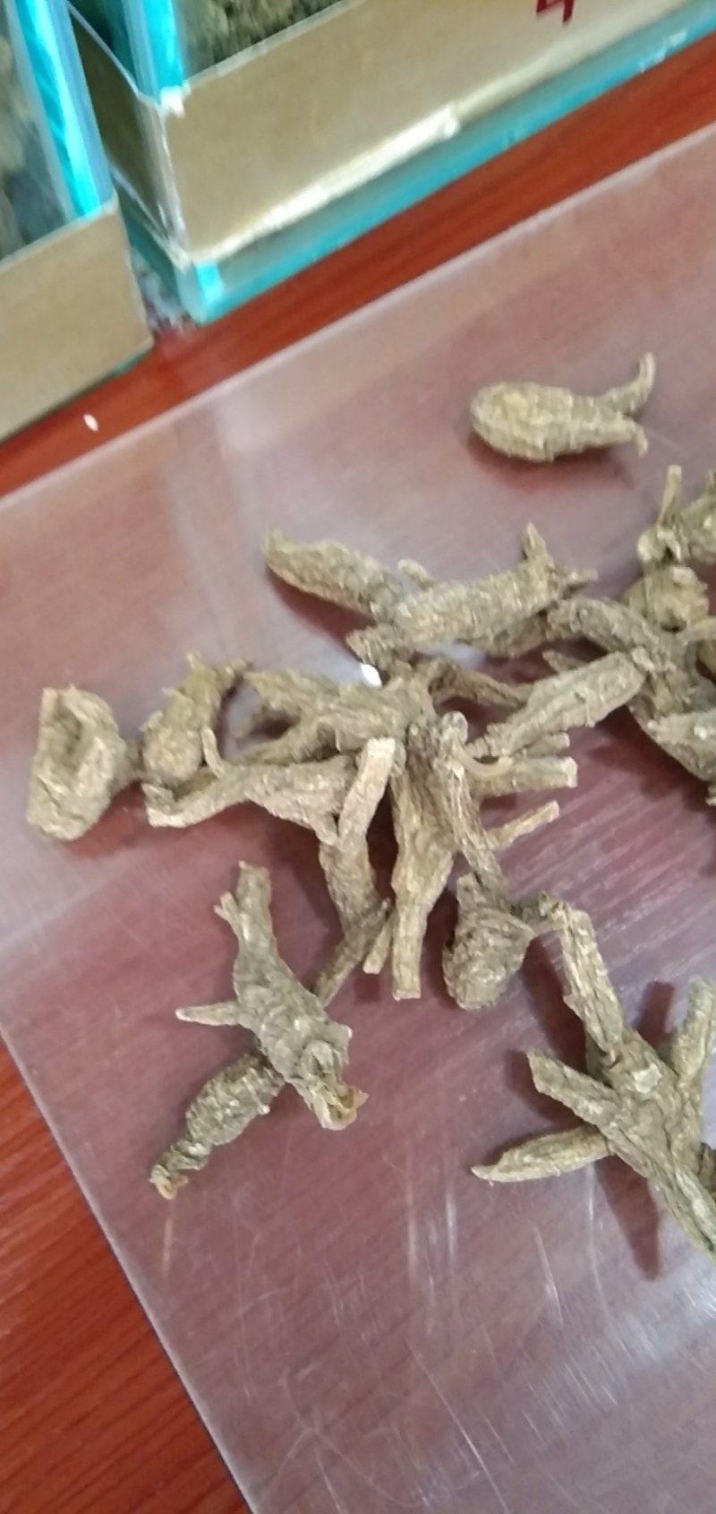 花旗参个子，花旗参片子，精品大货