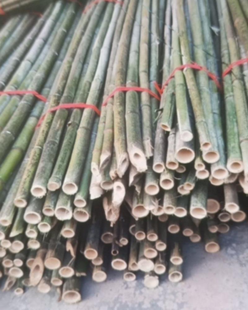 批发菜架竹，毛竹，冬瓜架，豆角架，绿化竿，质量保证，价格
