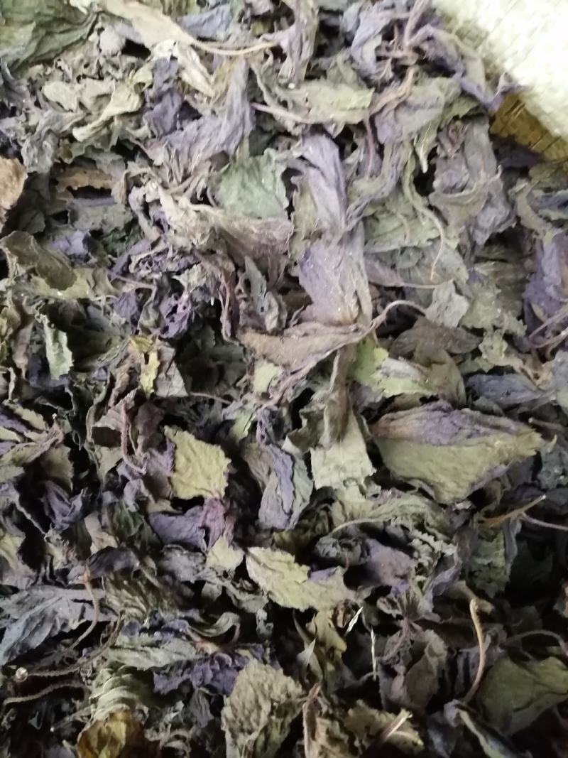 紫苏叶，紫苏鲜货干货正在下单