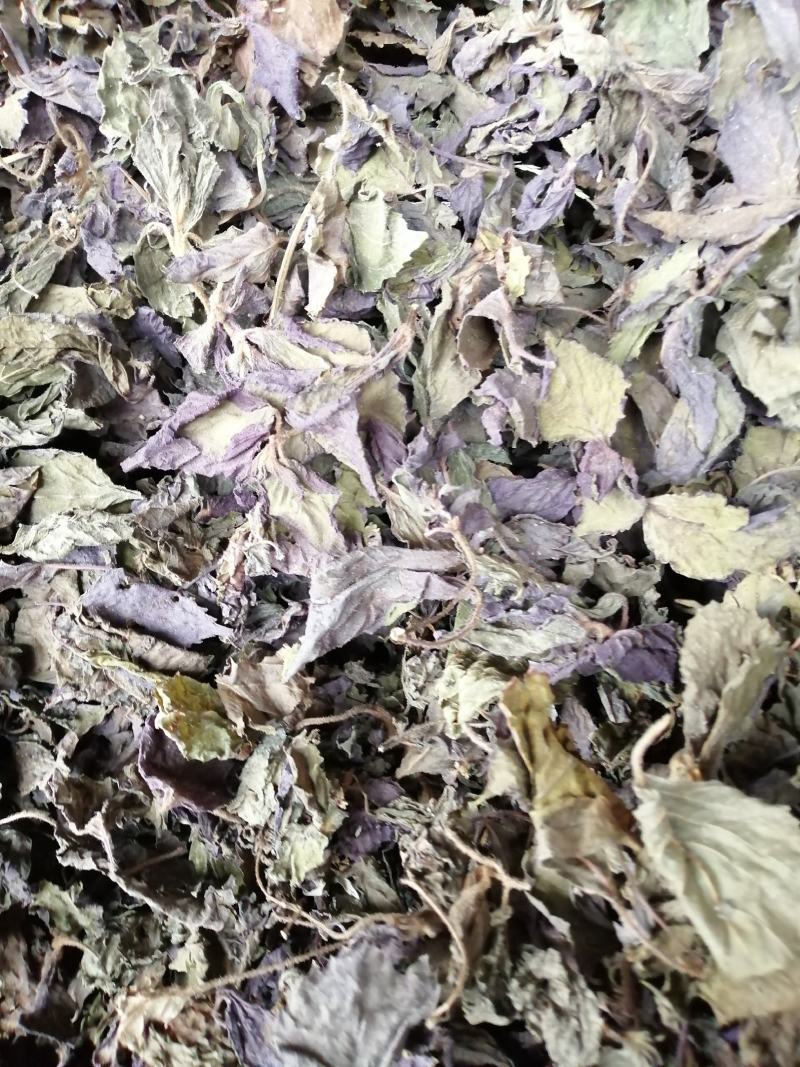 紫苏叶，紫苏鲜货干货正在下单