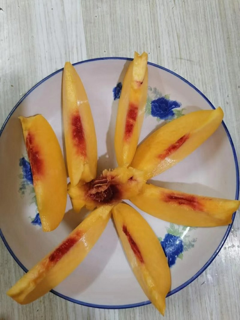 黄桃苗，口感脆甜，含糖量高，品种保证质量，长期合作