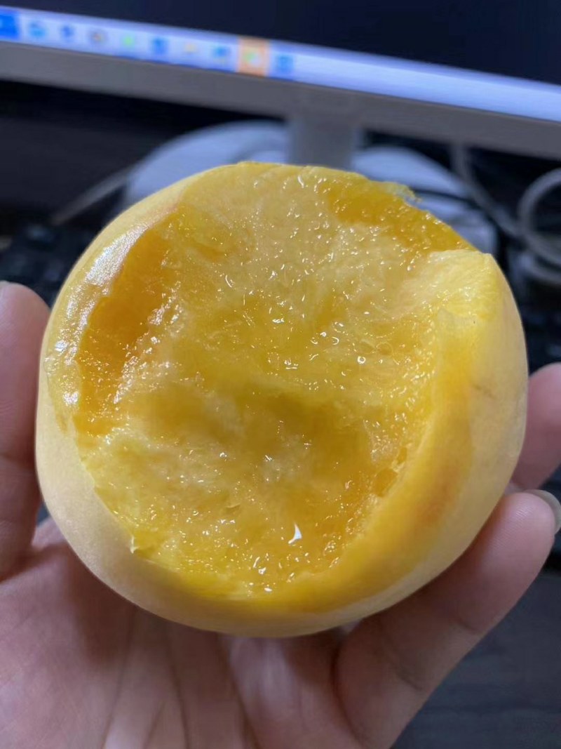 黄桃苗，口感脆甜，含糖量高，品种保证质量，长期合作