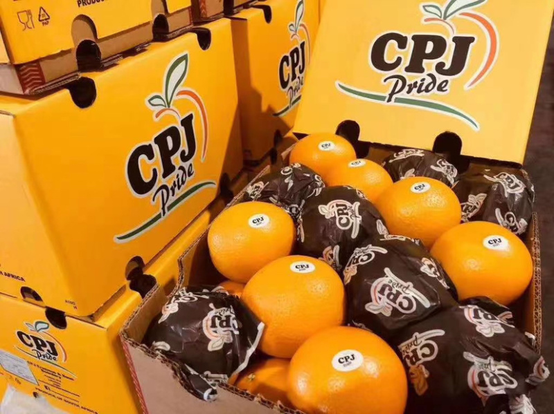 CPJ，ffe，Midknight酸橙，都是好货
