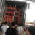 CPJ，ffe，Midknight酸橙，都是好货