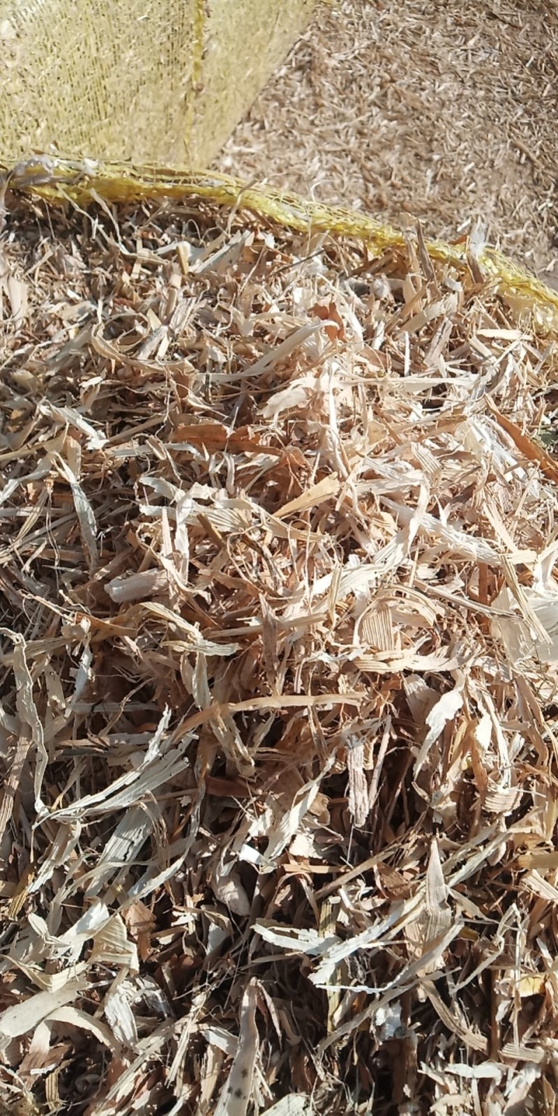 玉米秸秆，谷草秸秆，无土，无膜