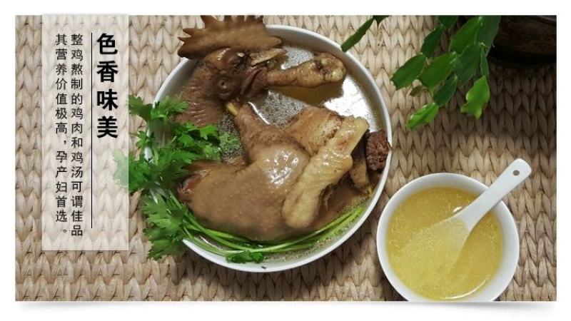 芦花鸡老母鸡纯种芦花鸡三年