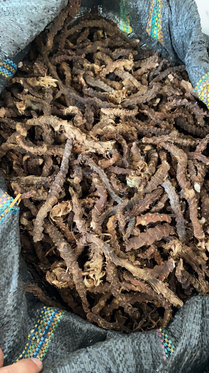石菖蒲，干货野生药材