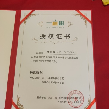新疆阿克苏185核桃2020纸皮新货（包邮）