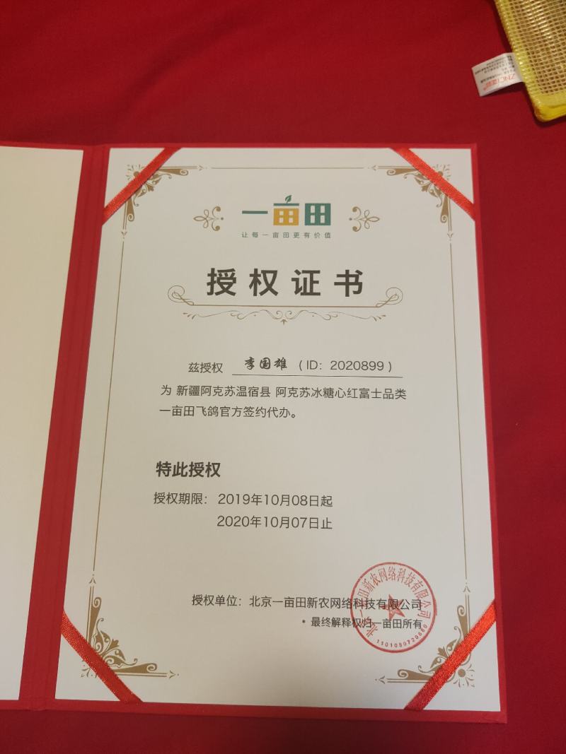 新疆阿克苏185核桃2020纸皮新货（包邮）