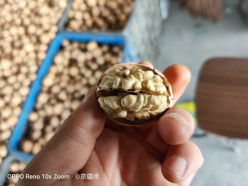 新疆阿克苏185核桃2020纸皮新货（包邮）