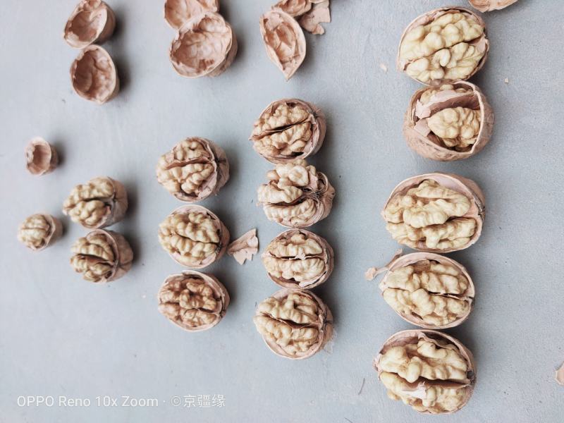 新疆阿克苏185核桃2020纸皮新货（包邮）