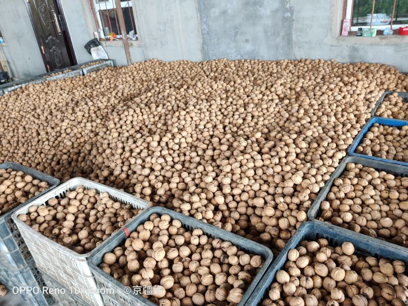 新疆阿克苏185核桃2020纸皮新货（包邮）